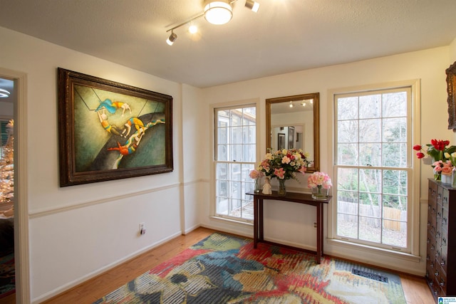 entryway with a textured ceiling, hardwood / wood-style flooring, and plenty of natural light