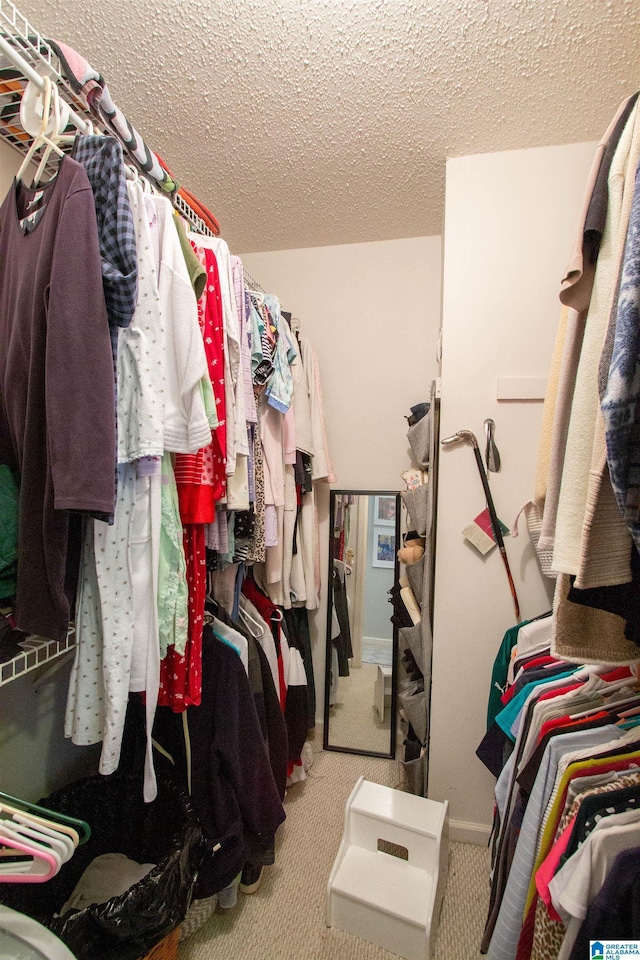 spacious closet featuring light carpet