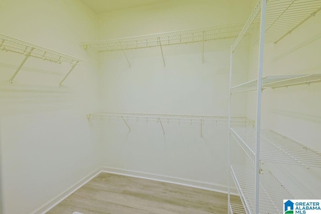 spacious closet featuring light hardwood / wood-style flooring