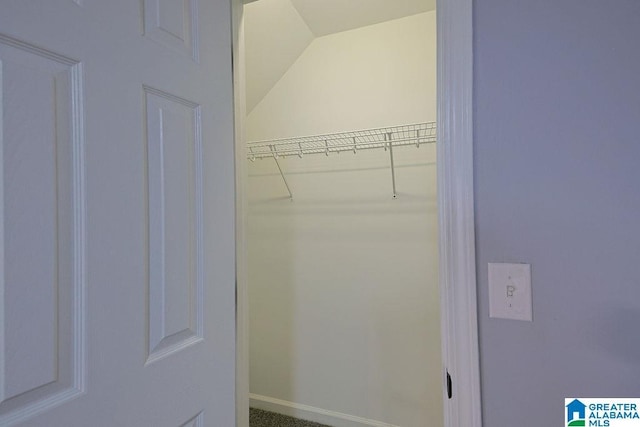 view of spacious closet