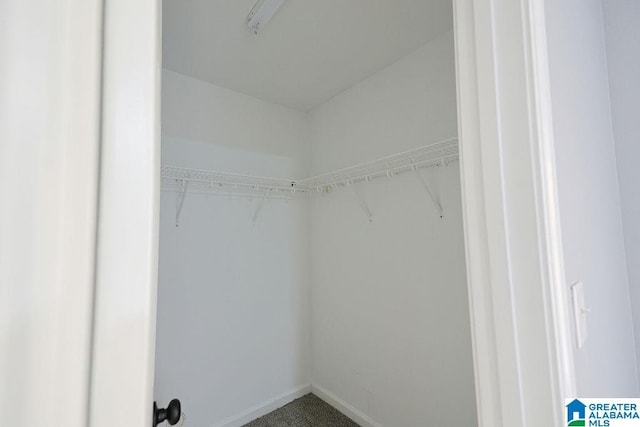 spacious closet with carpet