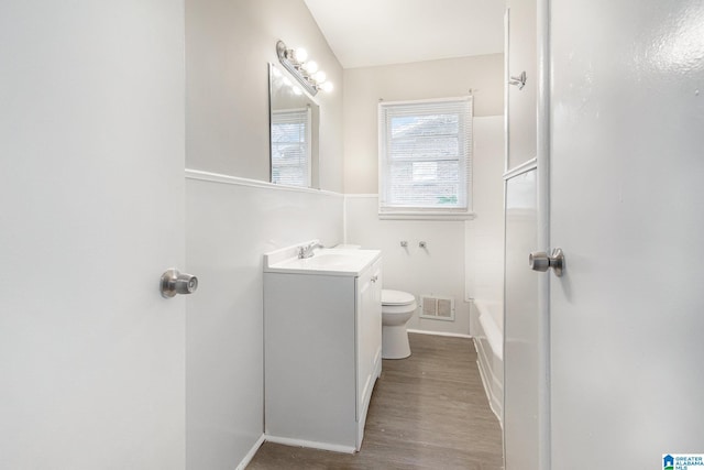 bathroom with wood-type flooring, vanity, and toilet