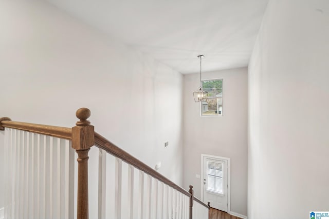 stairs with an inviting chandelier and hardwood / wood-style flooring