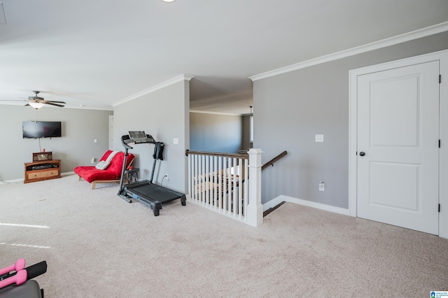 workout room featuring carpet flooring, ceiling fan, and ornamental molding