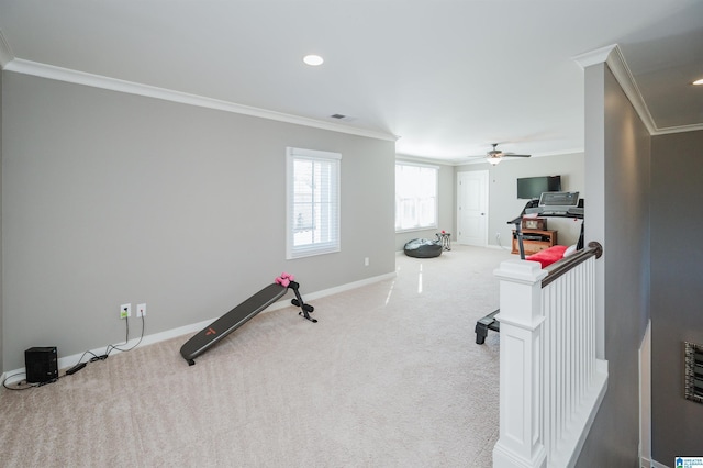 workout room with carpet flooring, ceiling fan, and ornamental molding