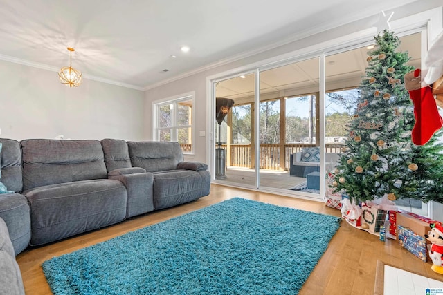 living room featuring hardwood / wood-style floors and crown molding