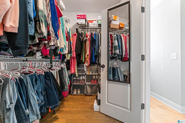 spacious closet featuring wood-type flooring