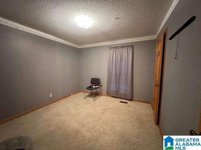 interior space with light carpet, a textured ceiling, and ornamental molding