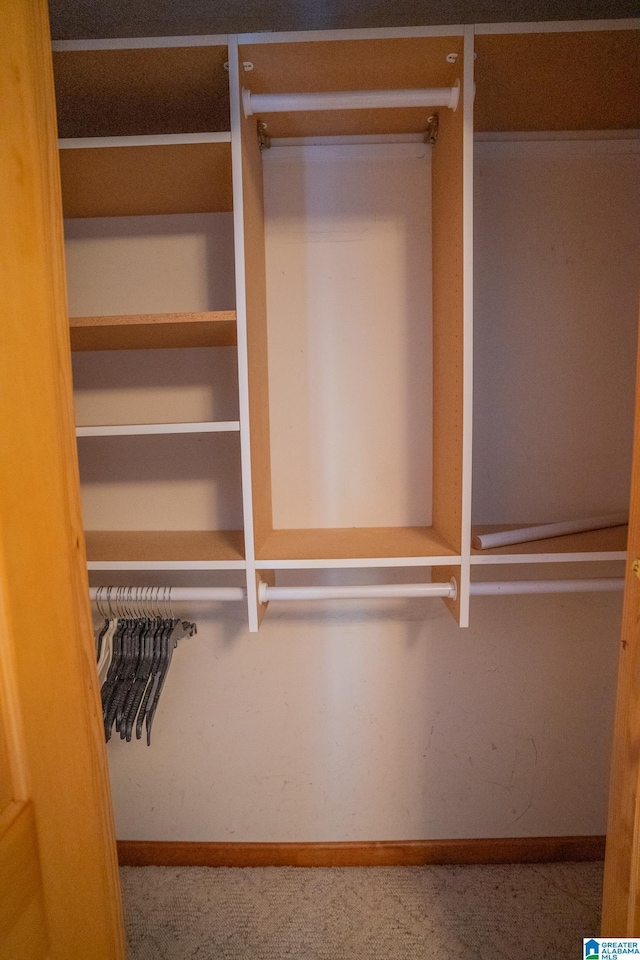 view of closet