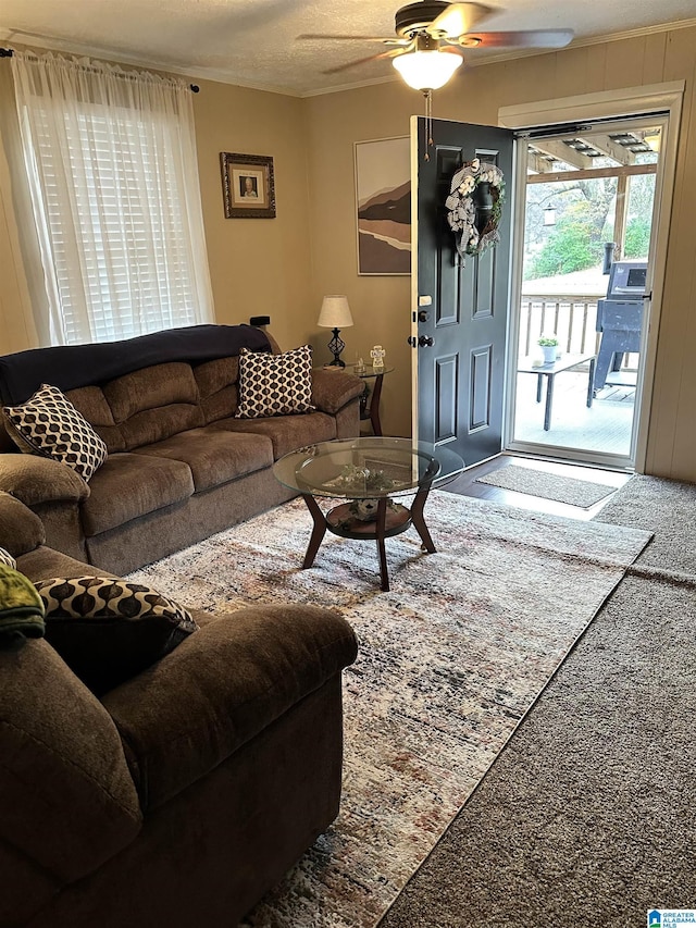 living room with ceiling fan, carpet, and a textured ceiling