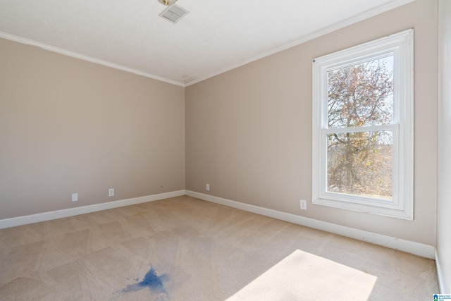 spare room with light carpet, a wealth of natural light, and crown molding