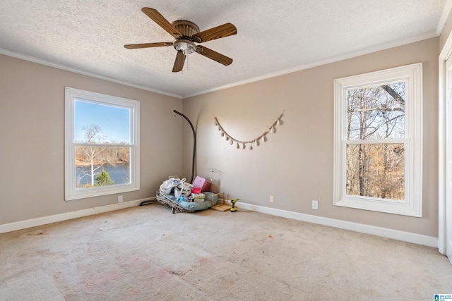 unfurnished room featuring ceiling fan, carpet floors, and a textured ceiling