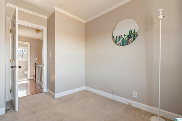 spare room featuring light colored carpet, ornamental molding, and a textured ceiling