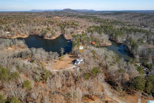 birds eye view of property featuring a water and mountain view