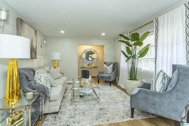 living room with wood-type flooring