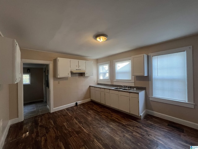 kitchen with white cabinets, dark hardwood / wood-style floors, and sink