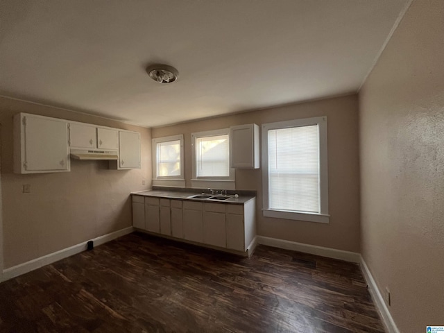 kitchen featuring white cabinetry, sink, and dark wood-type flooring