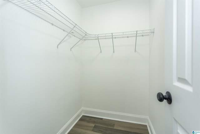 walk in closet with dark wood-type flooring