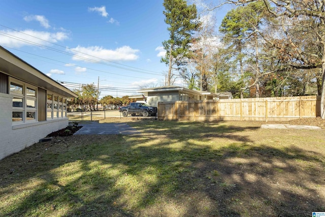 view of yard featuring a patio area