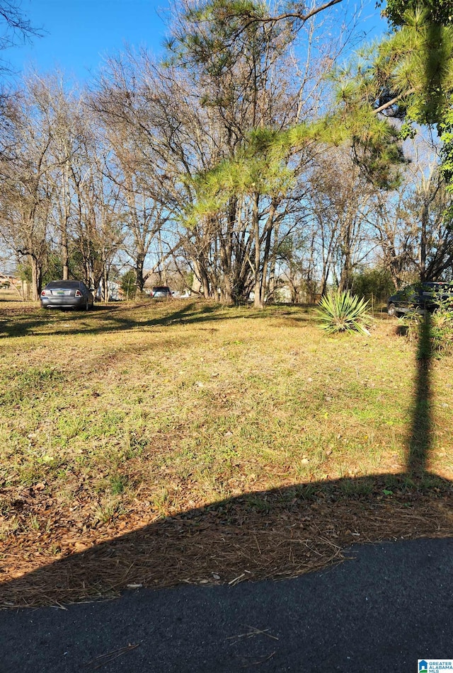 4316 Todd Ave SW Unit 3, Birmingham AL, 35221 land for sale