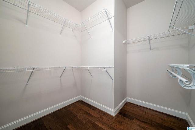 spacious closet with wood-type flooring