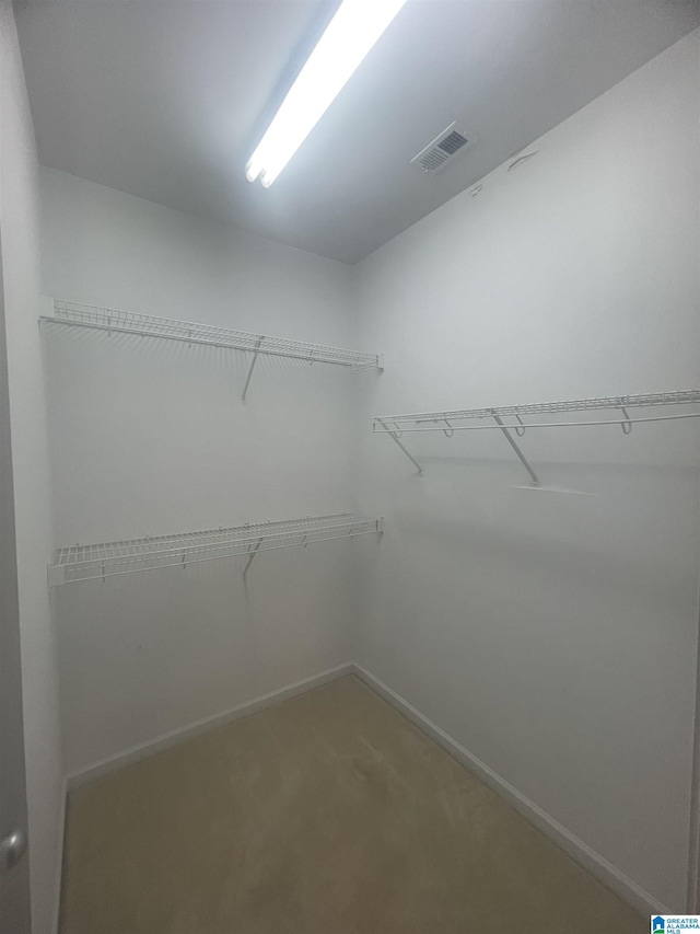 walk in closet with carpet flooring