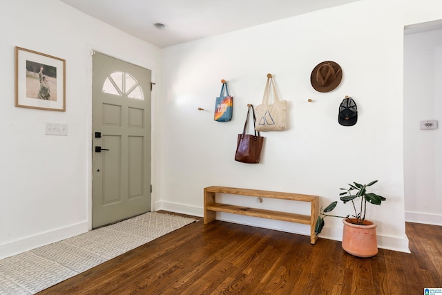 entrance foyer with dark wood-type flooring