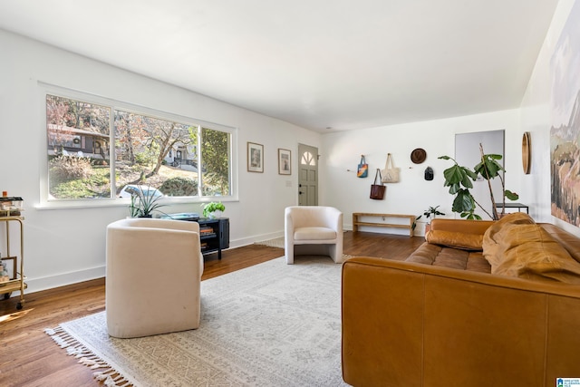 living room with hardwood / wood-style floors