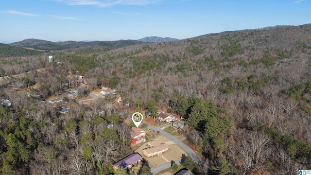 bird's eye view featuring a mountain view