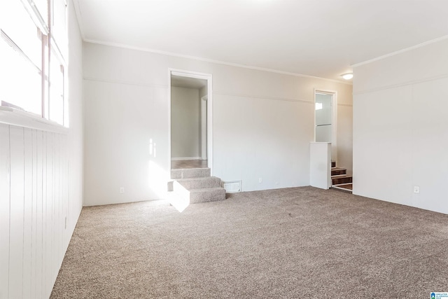 spare room featuring carpet and ornamental molding