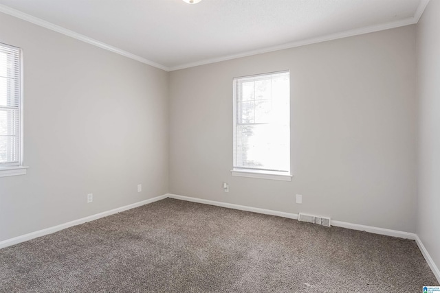 spare room featuring carpet and crown molding