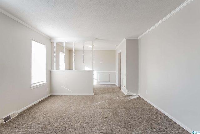 spare room featuring crown molding, carpet, and a textured ceiling