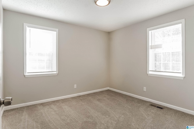 spare room with carpet and a textured ceiling