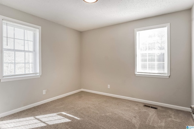 carpeted empty room featuring a textured ceiling and a healthy amount of sunlight