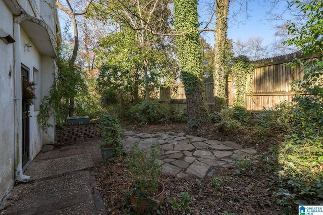 view of yard with a patio area