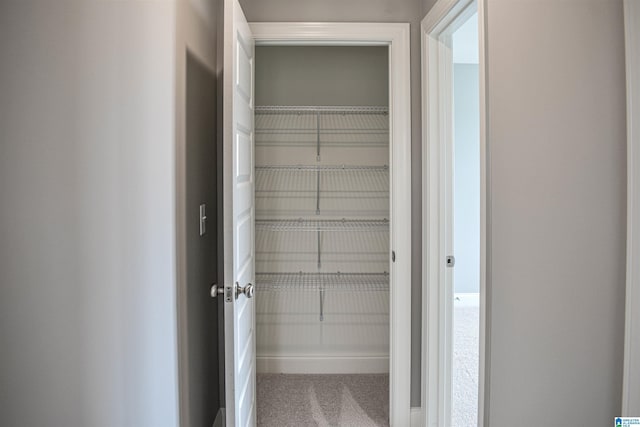 view of closet