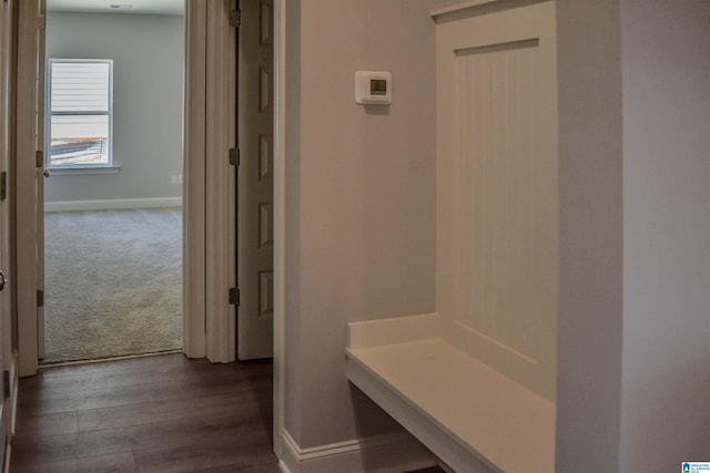 mudroom with carpet floors