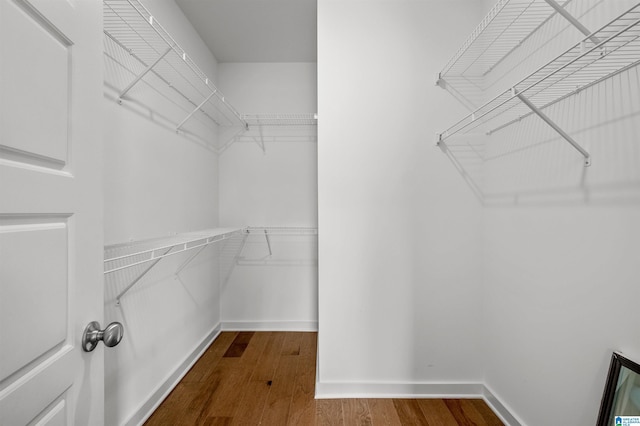 spacious closet featuring wood finished floors