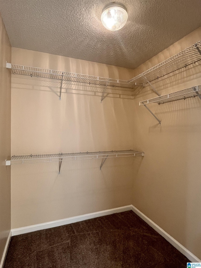 walk in closet with carpet