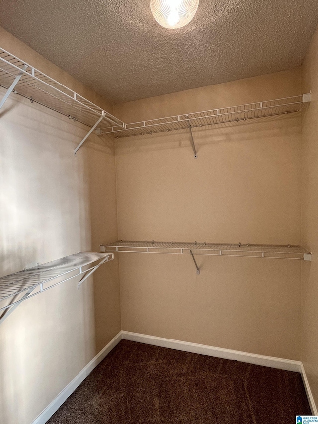 walk in closet featuring carpet floors