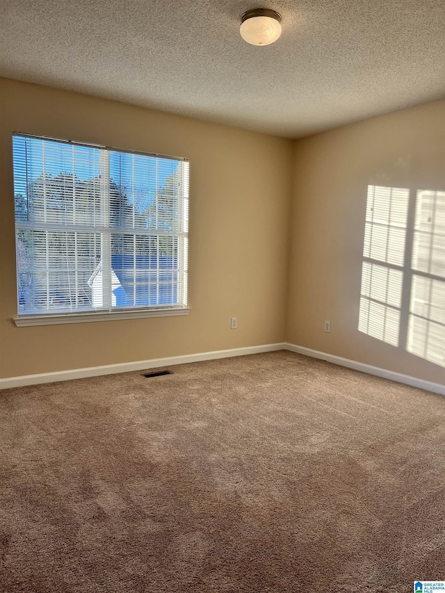 carpeted empty room with plenty of natural light and a textured ceiling