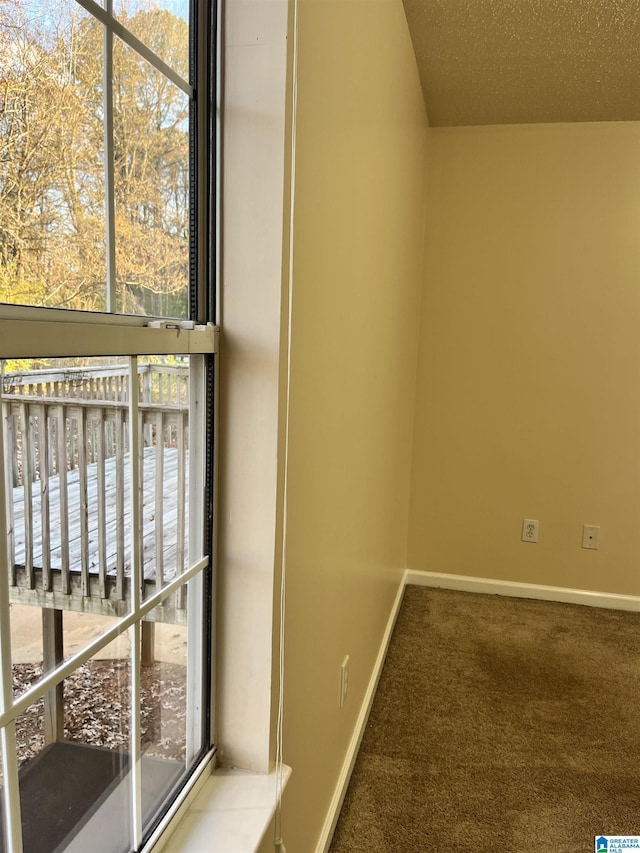 interior space with a textured ceiling and carpet flooring