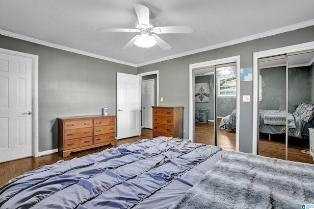 bedroom with ornamental molding, dark wood-type flooring, ceiling fan, and multiple closets