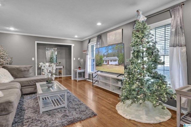 living room with crown molding, hardwood / wood-style floors, and a healthy amount of sunlight