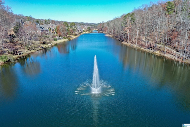 view of water feature