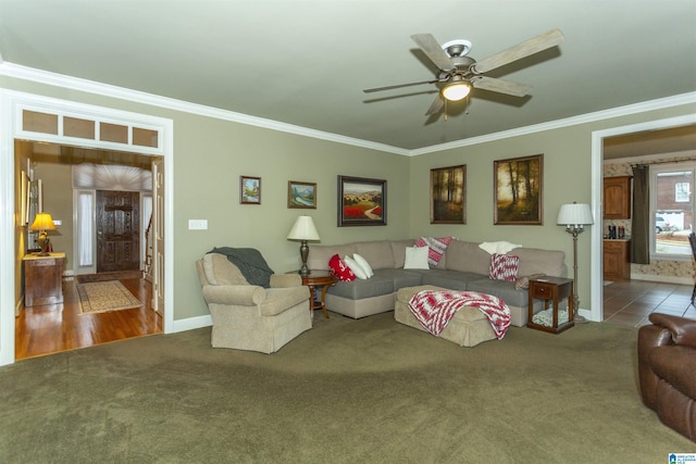 living room featuring carpet, ceiling fan, and ornamental molding