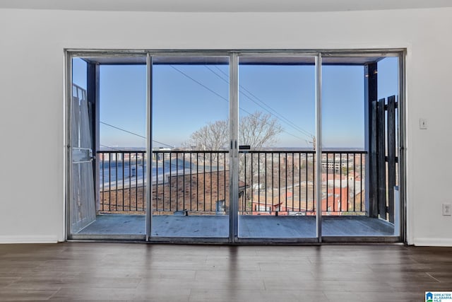 entryway with a wealth of natural light and wood-type flooring