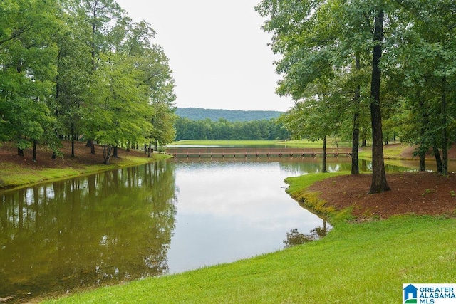 view of water feature