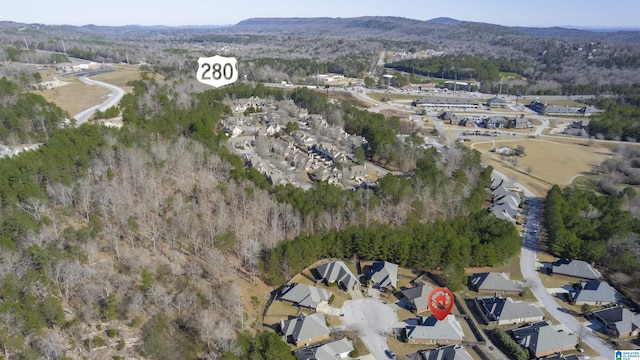 bird's eye view with a mountain view