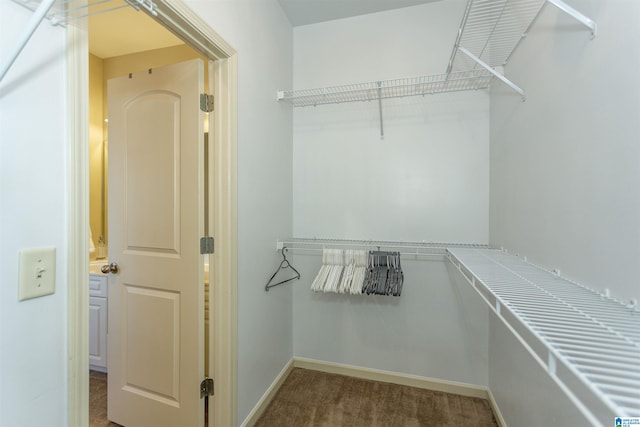 spacious closet with carpet floors